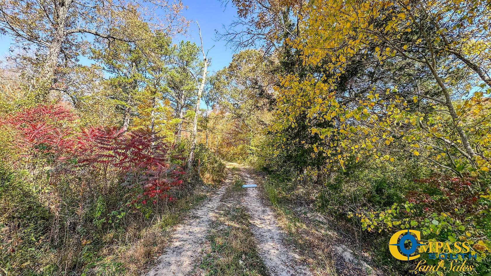 111 Acres of Recreational Land for Sale in Pleasantville, Tennessee