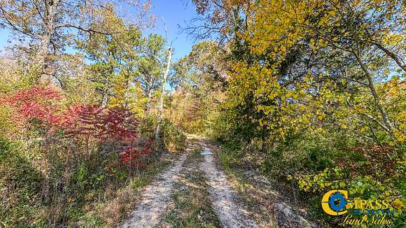 111 Acres of Recreational Land for Sale in Pleasantville, Tennessee