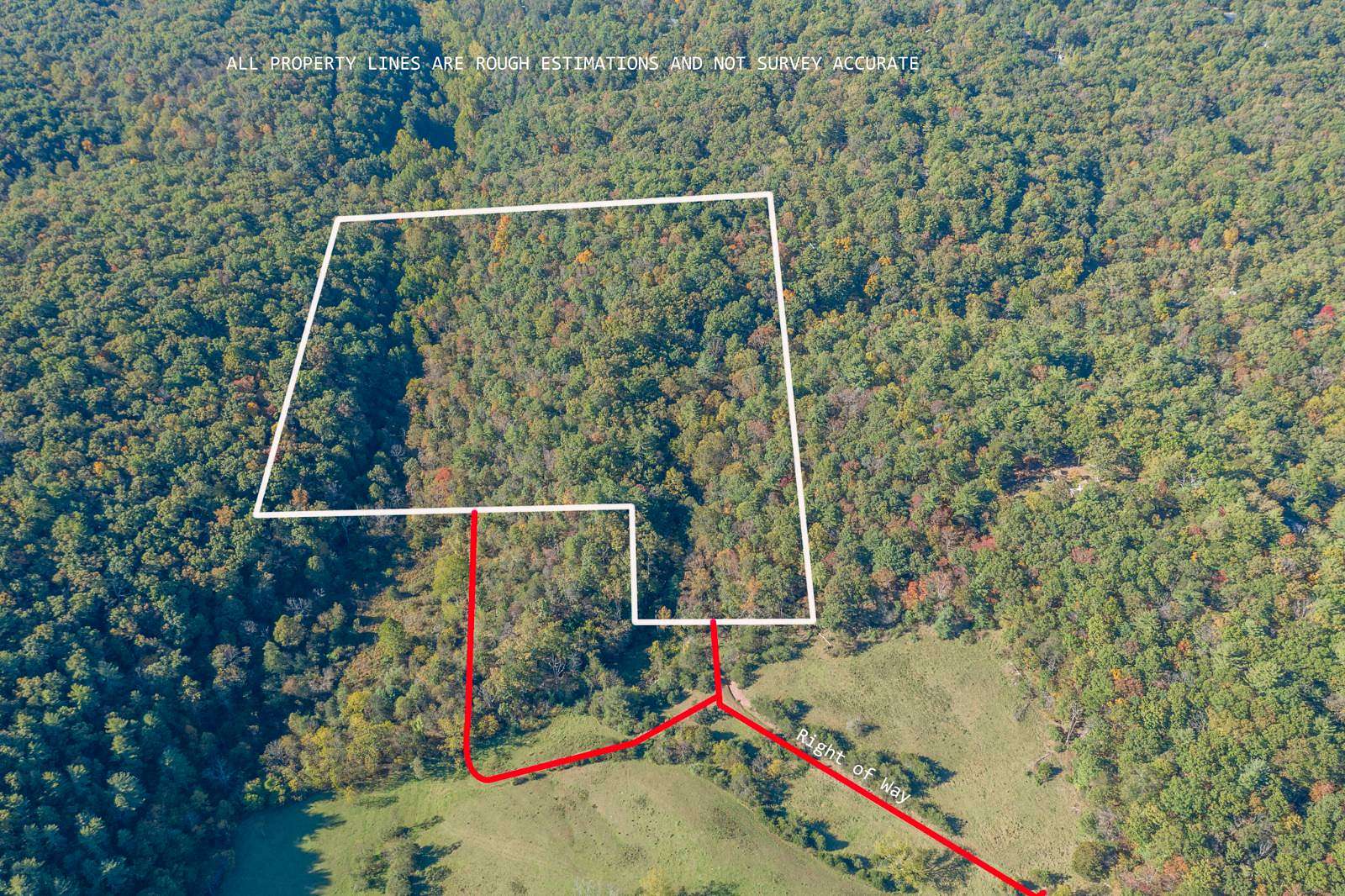 27.1 Acres of Recreational Land for Auction in Mount Jackson, Virginia