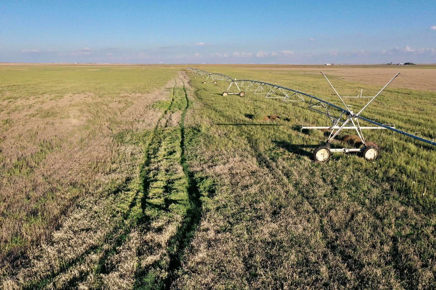 361.97 Acres of Agricultural Land for Sale in Plainview, Texas