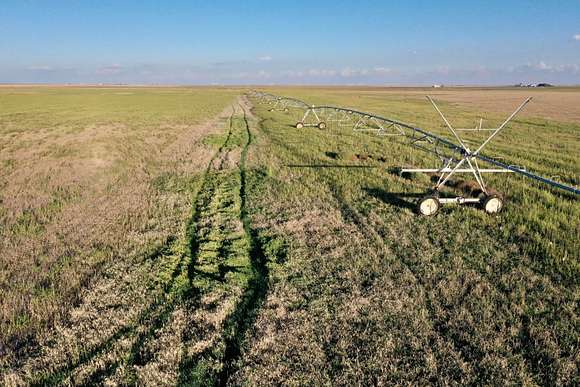 361.97 Acres of Agricultural Land for Sale in Plainview, Texas