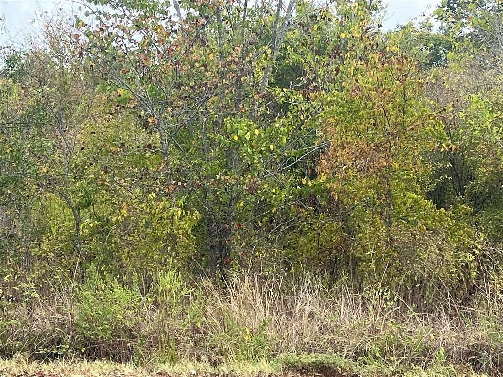 0.321 Acres of Residential Land for Sale in Teague, Texas