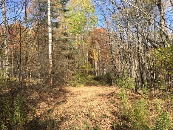 14.31 Acres of Land for Sale in Jefferson, New York