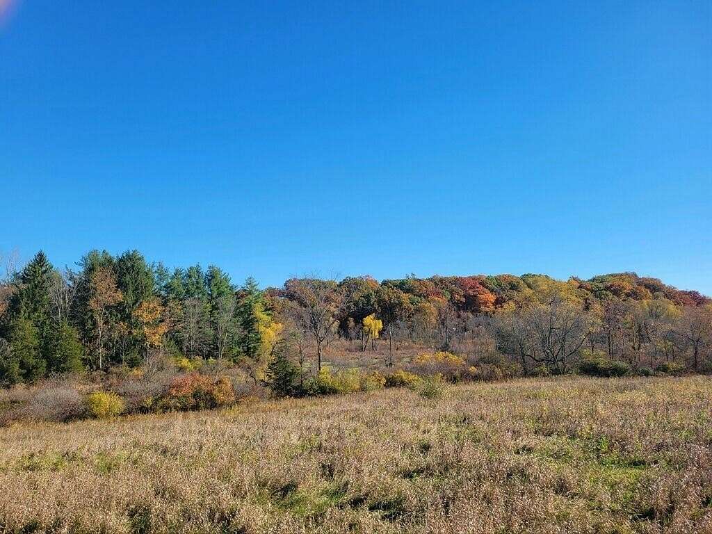 40 Acres of Recreational Land for Sale in Osseo, Michigan