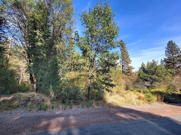 0.3 Acres of Land for Sale in McCloud, California