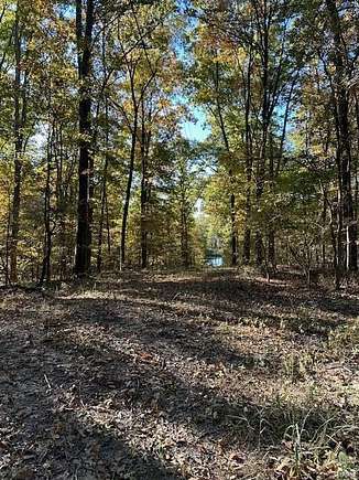 41.996 Acres of Recreational Land & Farm for Sale in Jackson, Missouri