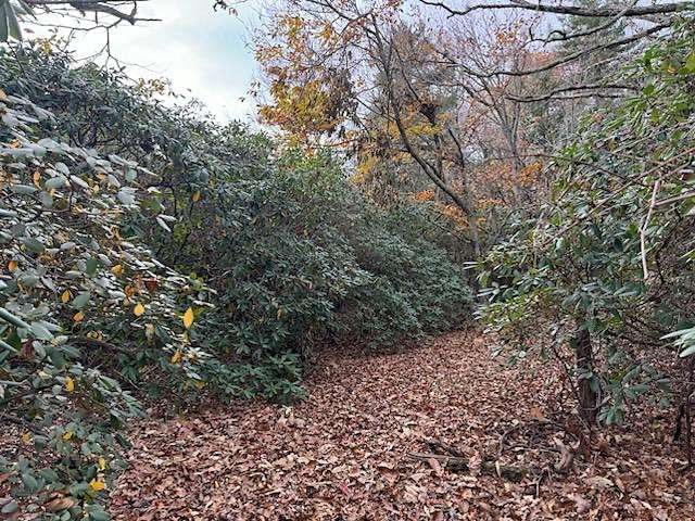 0.483 Acres of Land for Sale in Newland, North Carolina