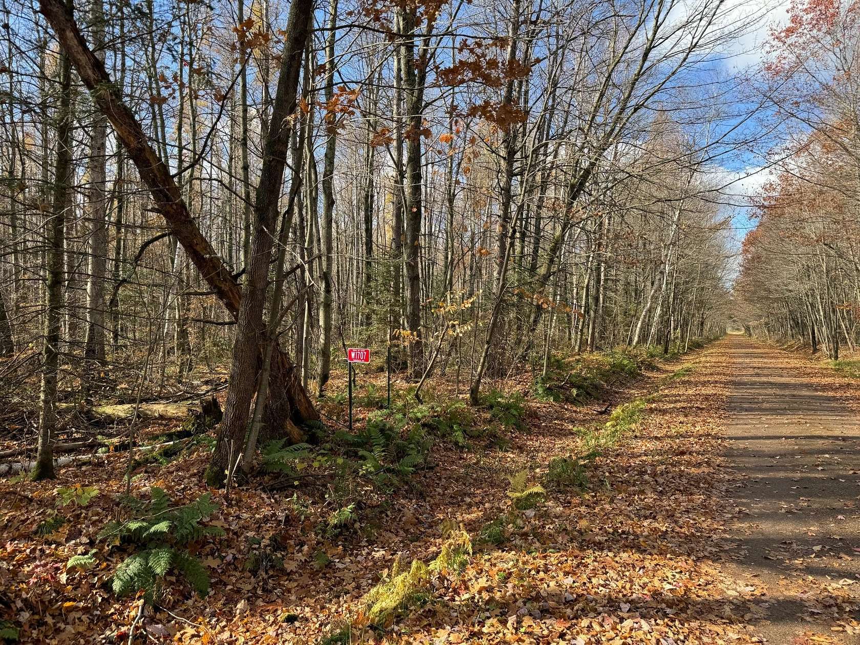 20 Acres of Recreational Land for Sale in Brantwood, Wisconsin