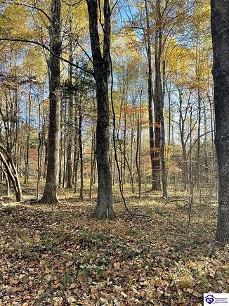 11.96 Acres of Land for Sale in Big Clifty, Kentucky