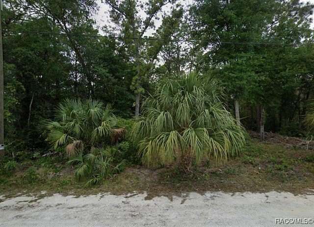 0.29 Acres of Residential Land for Sale in Homosassa, Florida