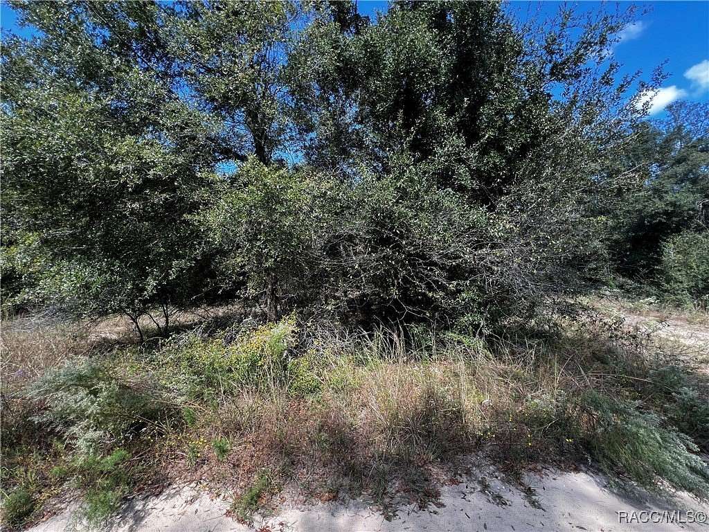 0.23 Acres of Residential Land for Sale in Inverness, Florida