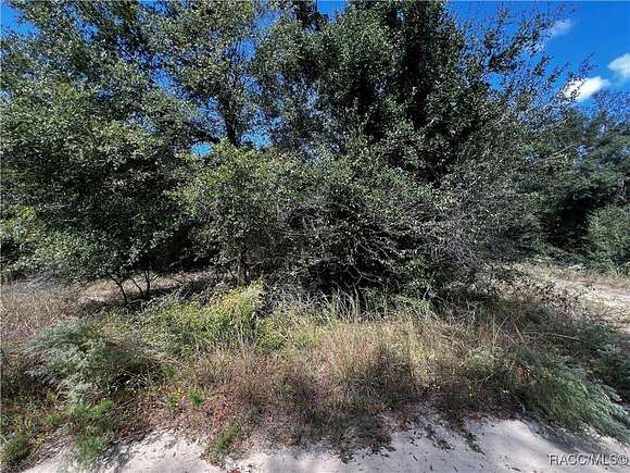 0.23 Acres of Residential Land for Sale in Inverness, Florida