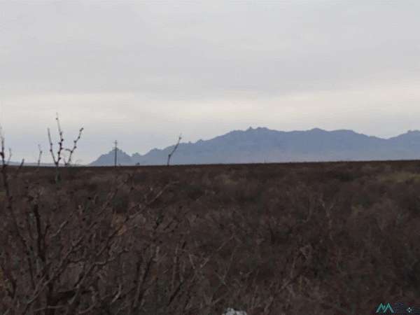 160 Acres of Land for Sale in Deming, New Mexico
