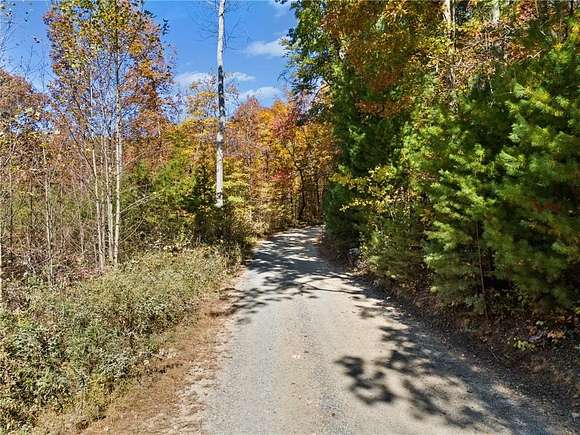 16.31 Acres of Land for Sale in Ellijay, Georgia