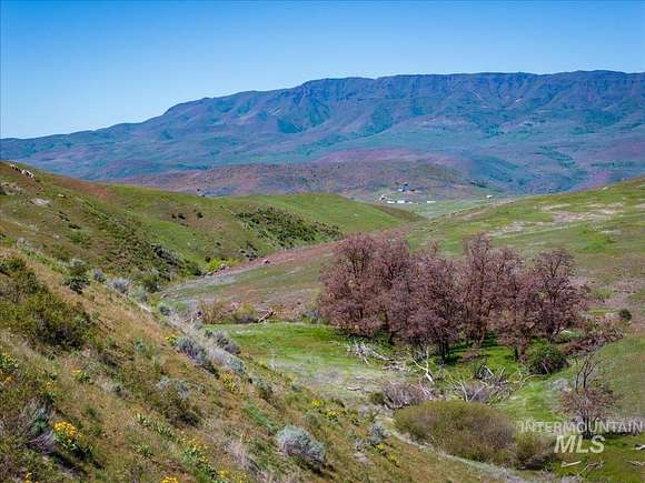 277 Acres of Agricultural Land for Sale in Sweet, Idaho