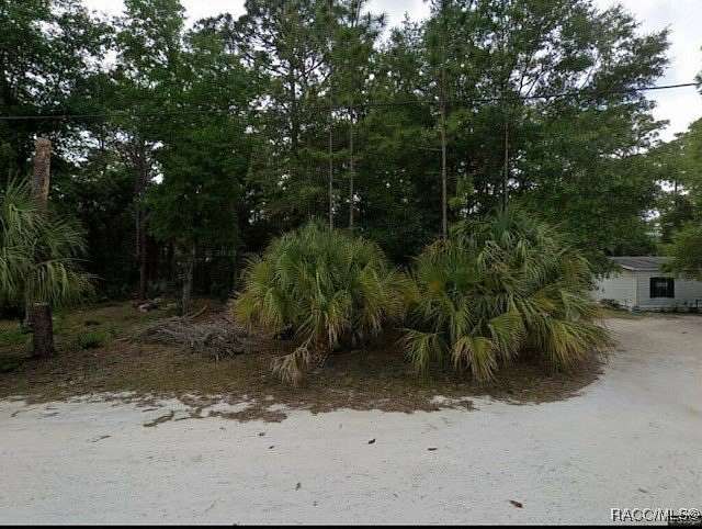 0.29 Acres of Residential Land for Sale in Homosassa, Florida