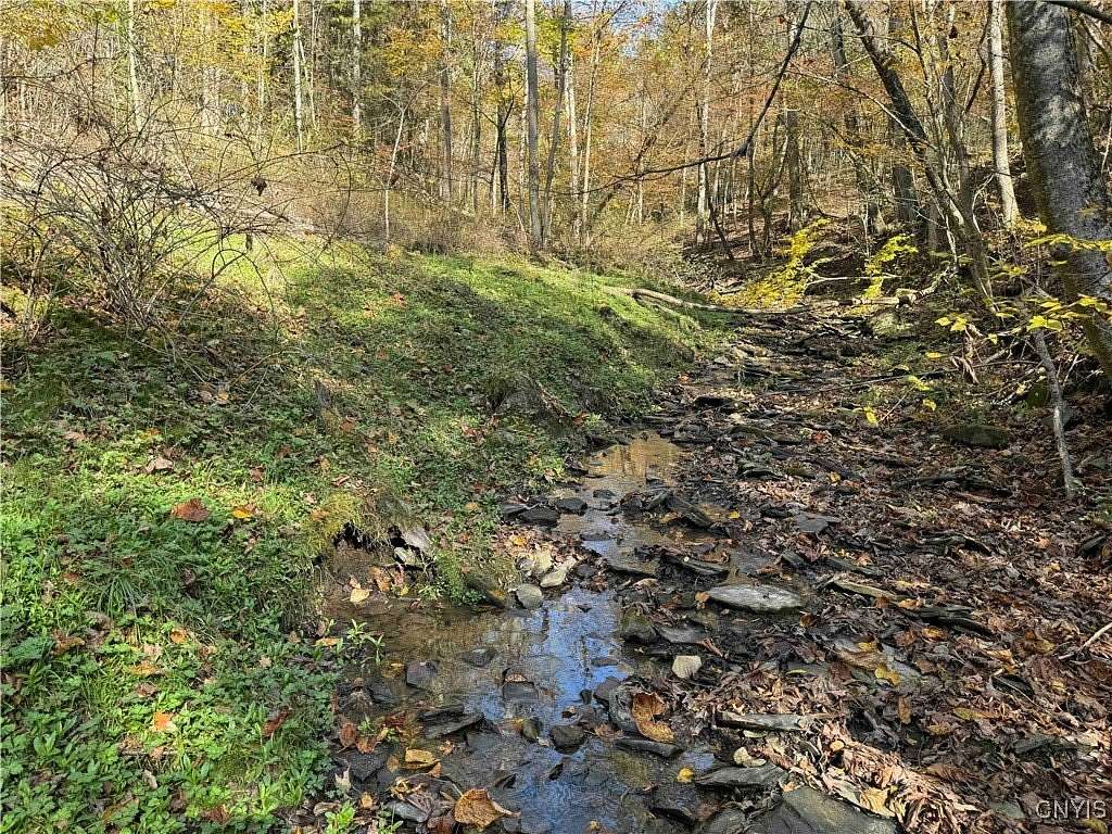 5.2 Acres of Residential Land for Sale in Gerry, New York