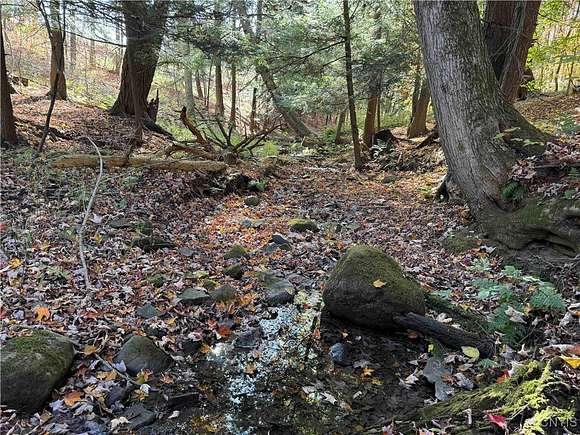 14 Acres of Recreational Land for Sale in Gerry, New York