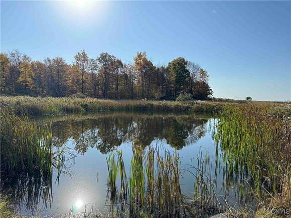 11.4 Acres of Recreational Land for Sale in Gerry, New York