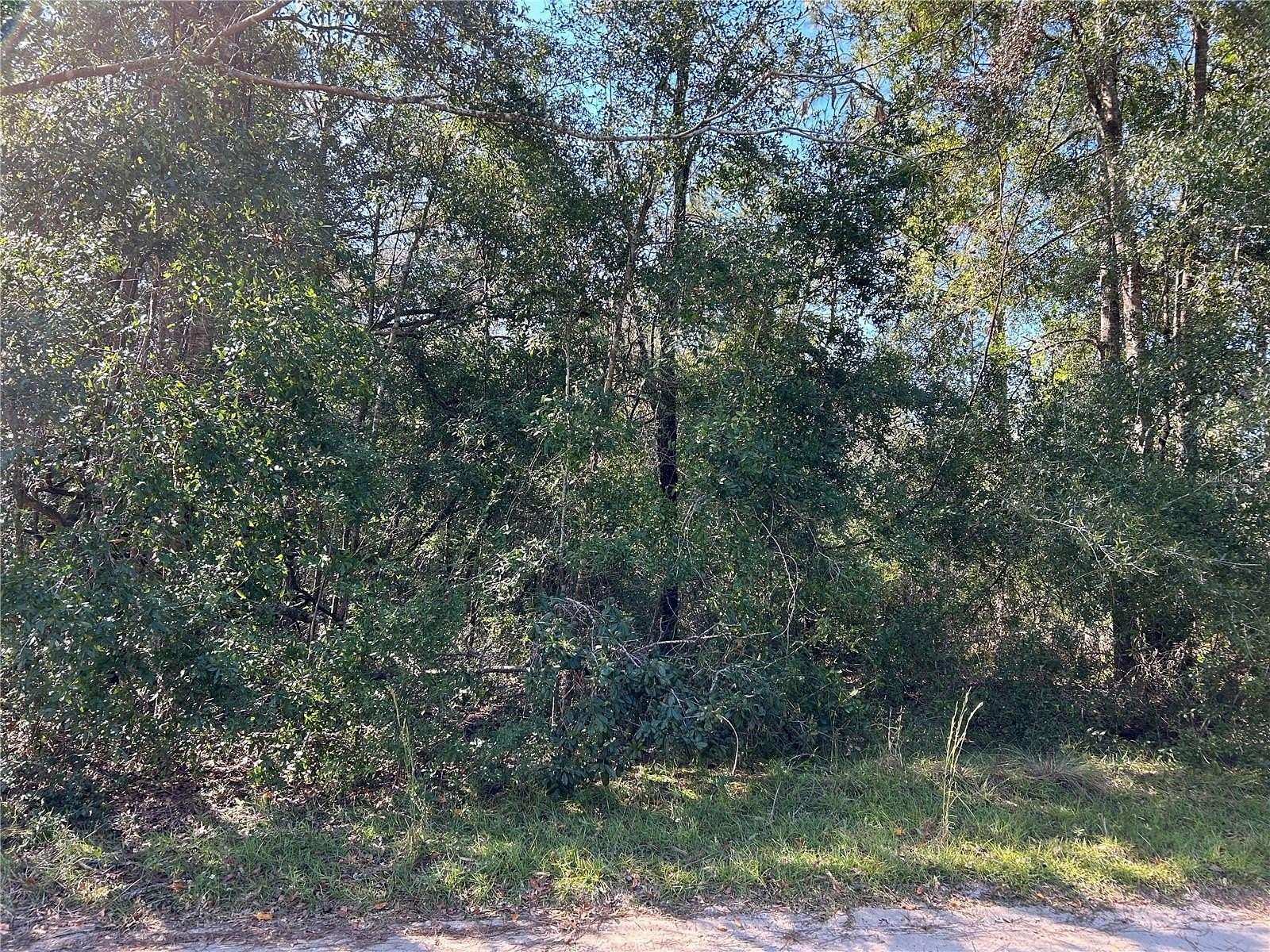 0.62 Acres of Land for Sale in Williston, Florida