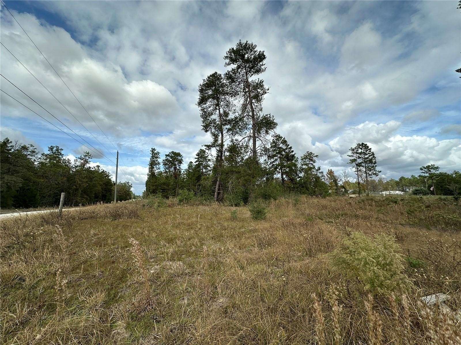 1.13 Acres of Land for Sale in Williston, Florida