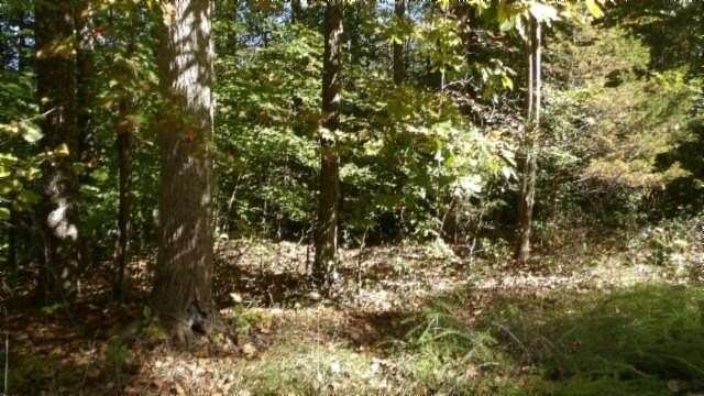 4.47 Acres of Residential Land for Sale in Sparta, Tennessee