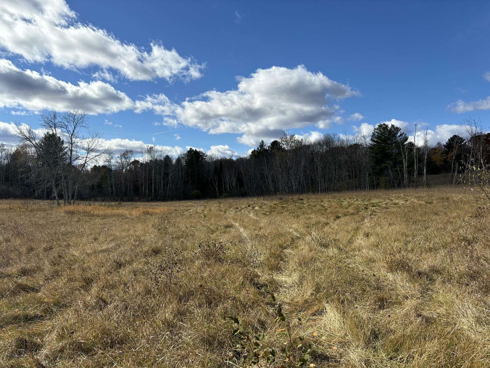 10 Acres of Residential Land for Sale in West Branch, Michigan