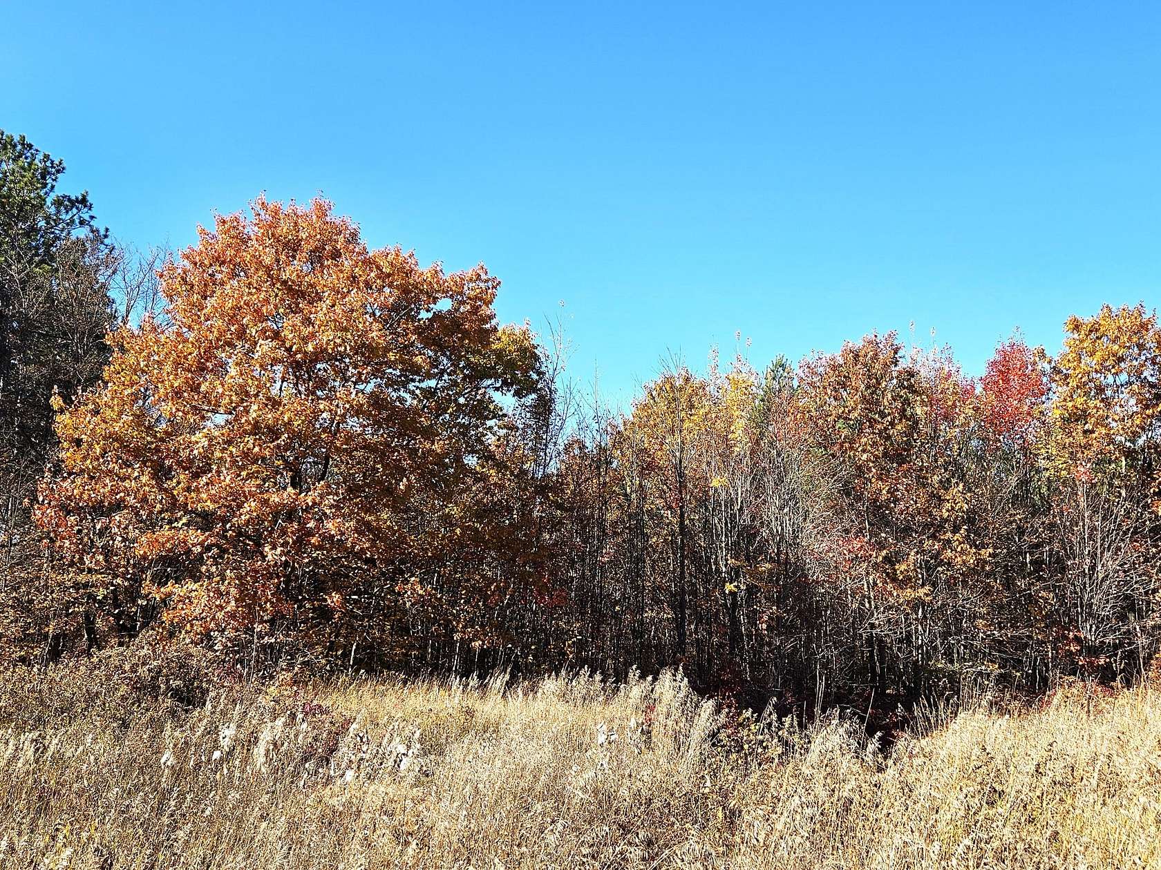 Residential Land for Sale in Gaylord, Michigan