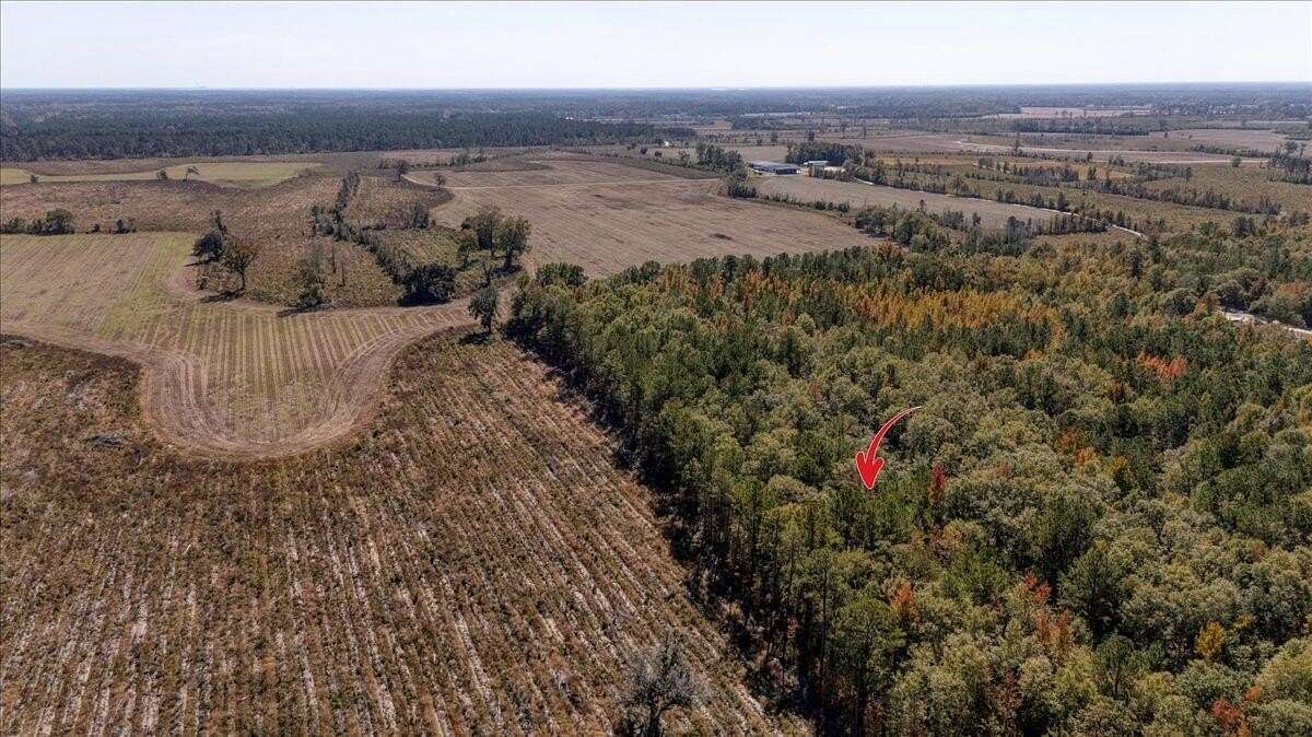 2.8 Acres of Residential Land for Sale in Manning, South Carolina