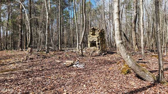 116.86 Acres of Agricultural Land for Sale in Rougemont, North Carolina