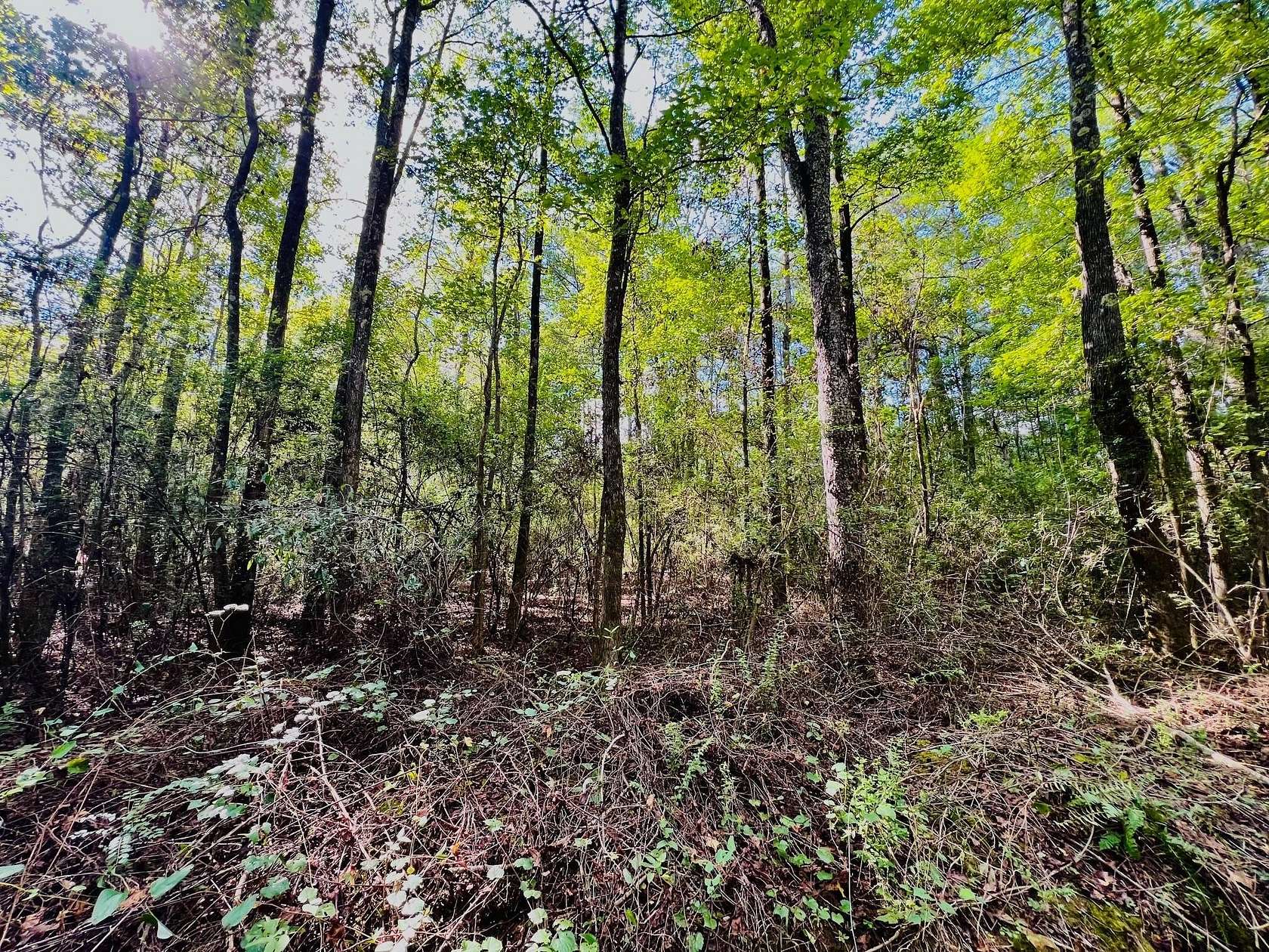 1.4 Acres of Land for Sale in Jasper, Alabama