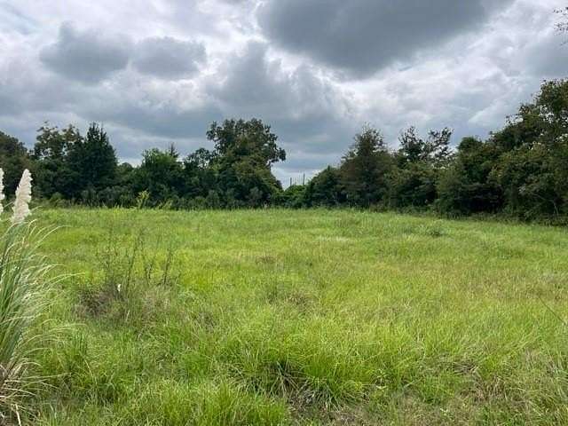 61.45 Acres of Land for Sale in Donalsonville, Georgia