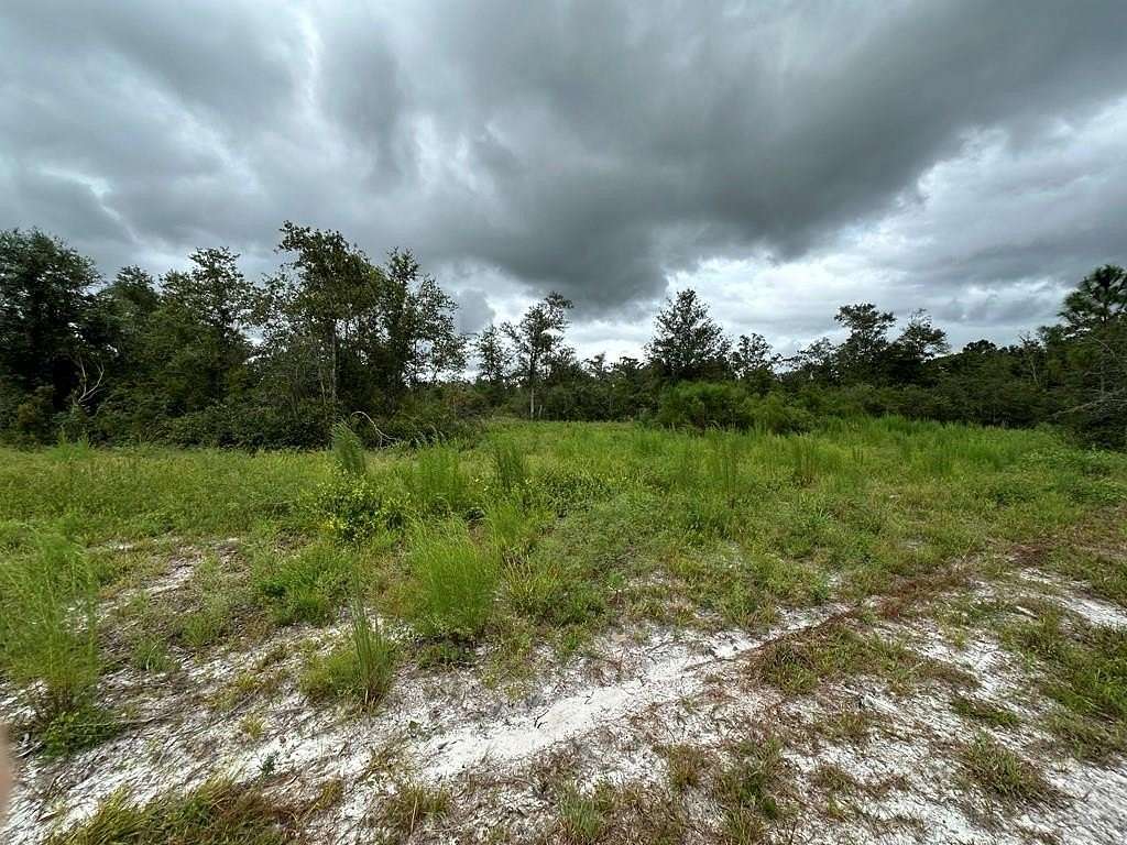 40 Acres of Recreational Land for Sale in Old Town, Florida