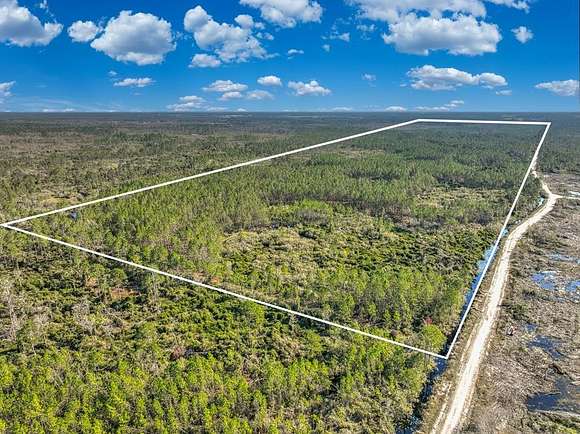 162.2 Acres of Recreational Land for Sale in Mayo, Florida