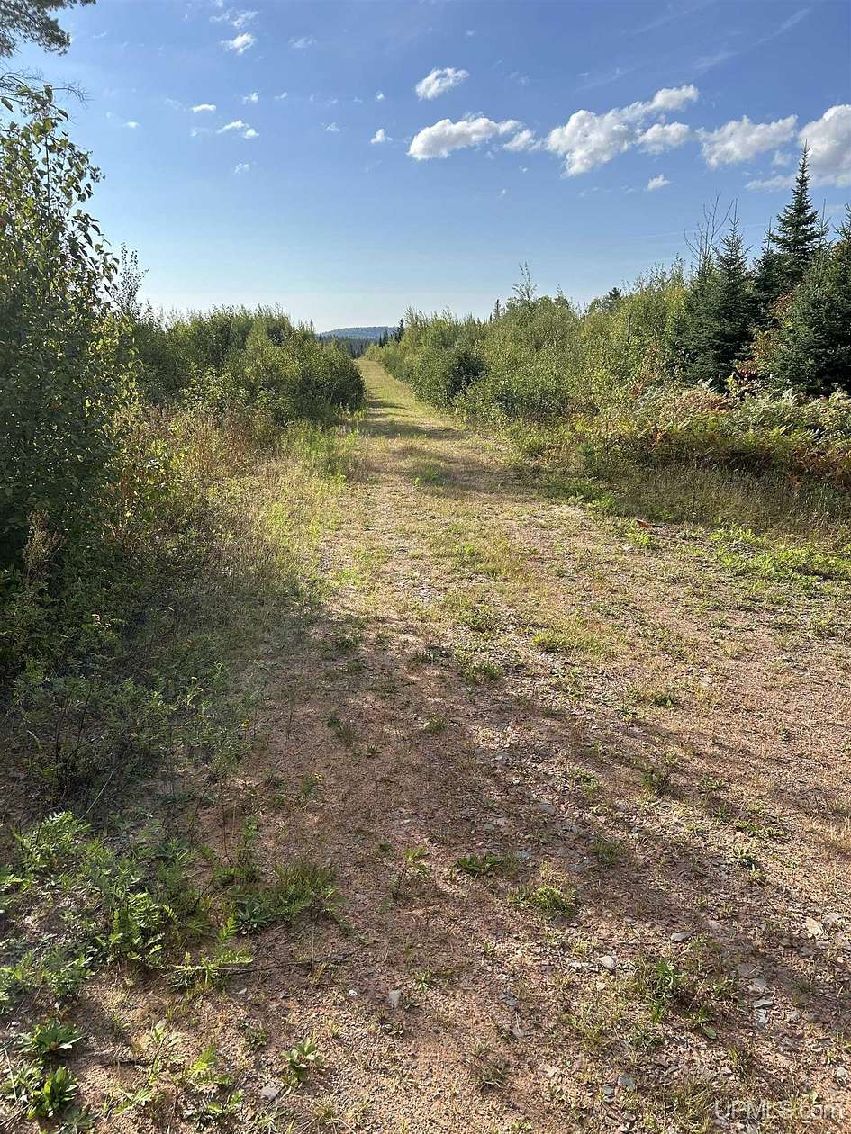 200 Acres of Recreational Land for Sale in Ishpeming, Michigan