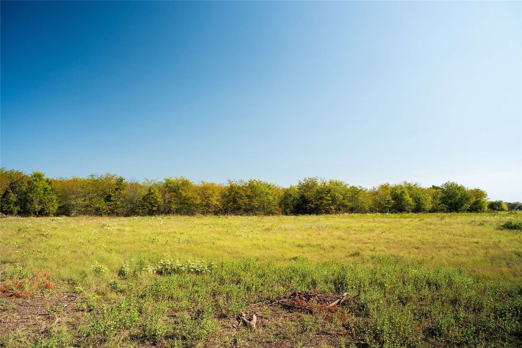 14.2 Acres of Land for Sale in Ladonia, Texas