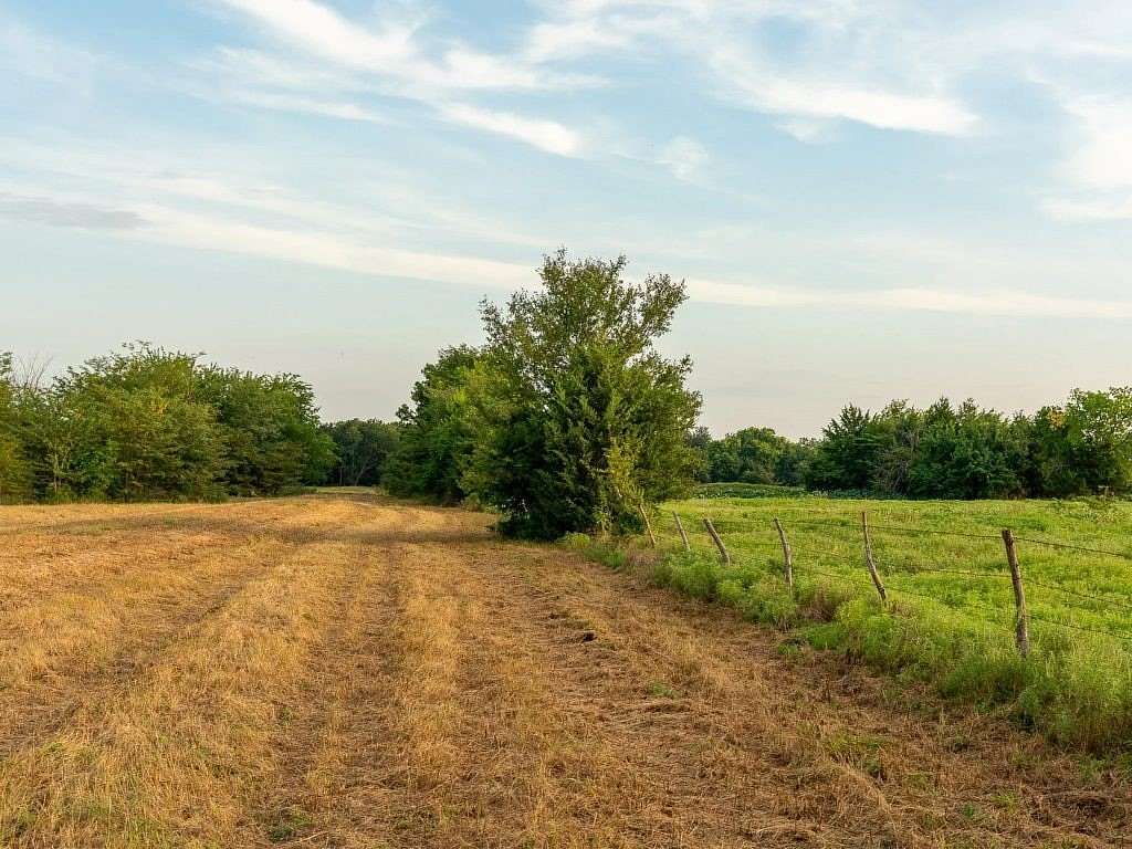 47 Acres of Recreational & Residential Land for Sale in Ladonia, Texas