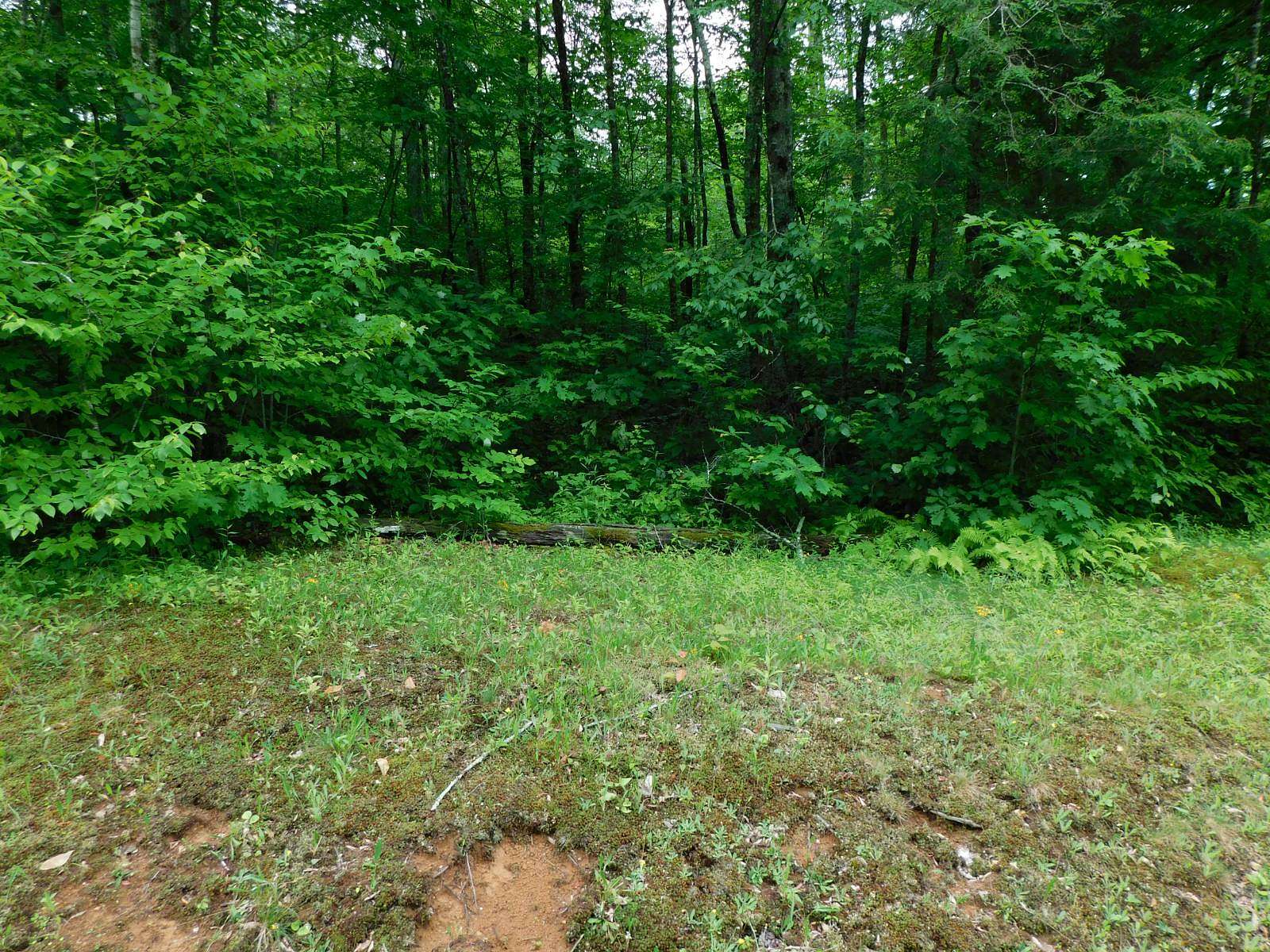 0.29 Acres of Residential Land for Sale in Linville, North Carolina