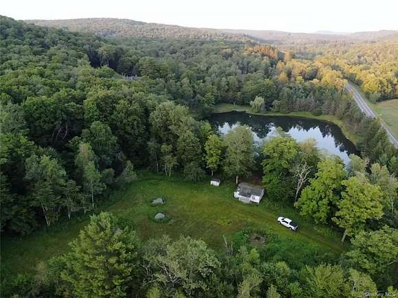 166.53 Acres of Recreational Land with Home for Sale in Livingston Manor, New York