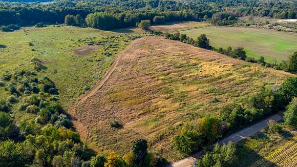 20 Acres of Land for Sale in Shelby, Michigan