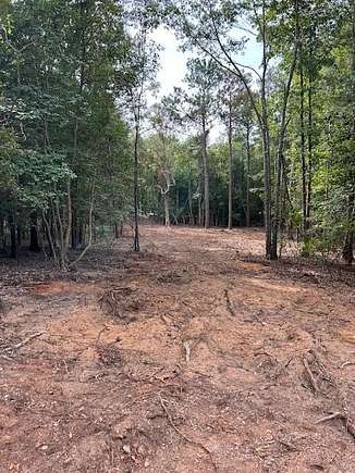 1 Acre of Land for Sale in Dalzell, South Carolina