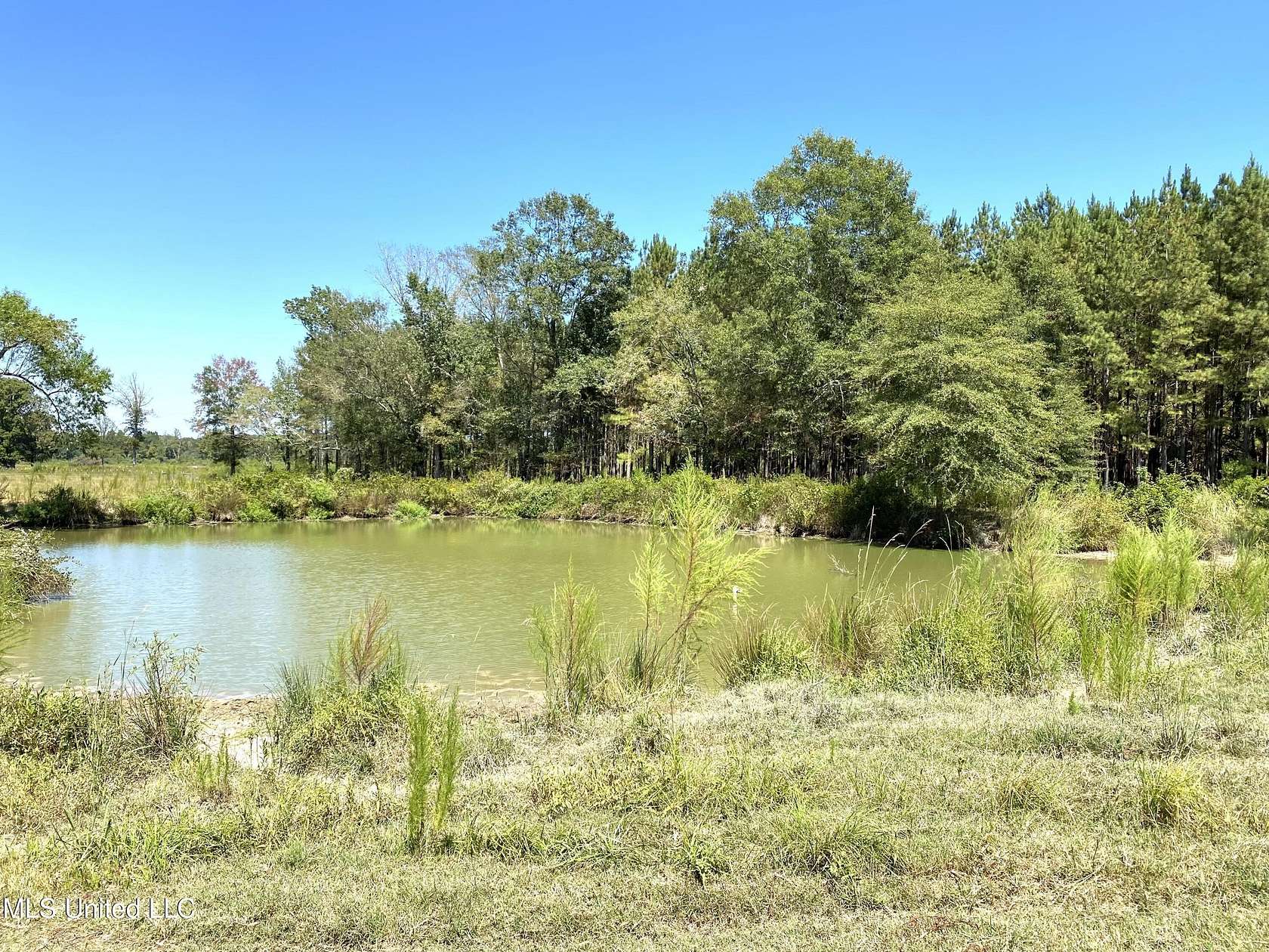 204 Acres of Land for Sale in Carthage, Mississippi