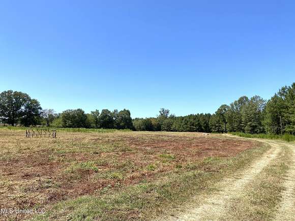 204 Acres of Land for Sale in Carthage, Mississippi