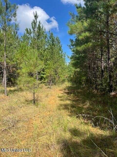 80 Acres of Recreational Land for Sale in Noxapater, Mississippi