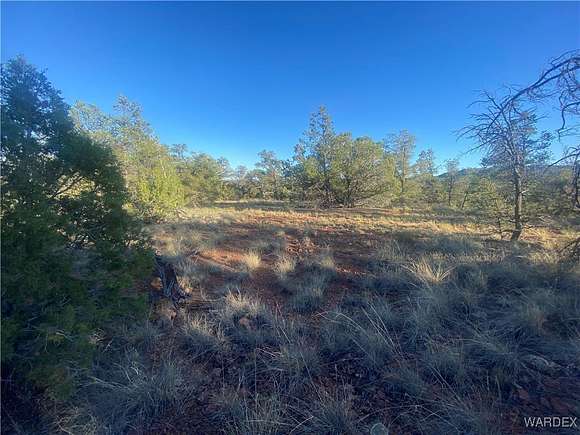 5 Acres of Land for Sale in Seligman, Arizona