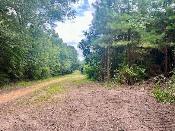 15 Acres of Recreational Land for Sale in Sandy Hook, Mississippi