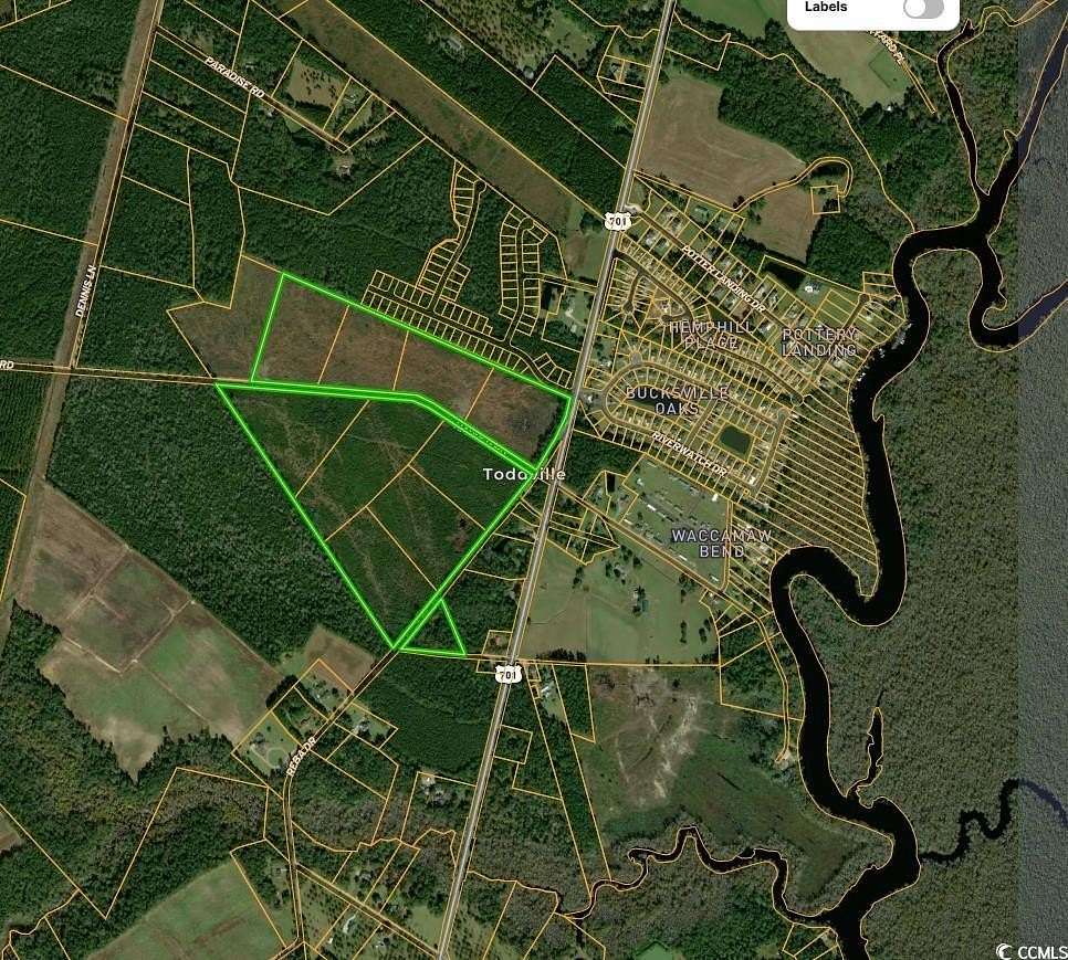 100.23 Acres of Land for Sale in Conway, South Carolina