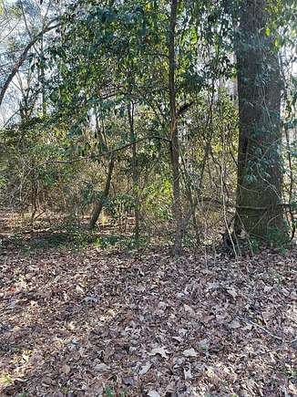 Residential Land for Sale in Eufaula, Alabama