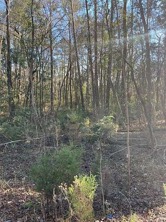 Residential Land for Sale in Eufaula, Alabama