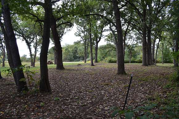 Looking Southwest from Northeast corner of property